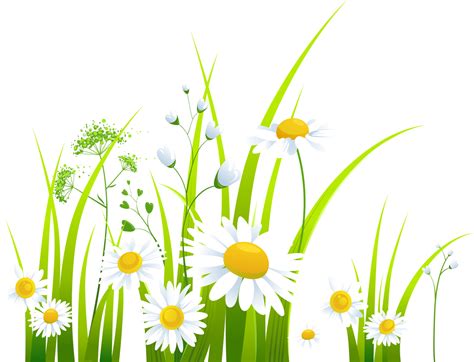 Spring Clip Art Chrysanthemum Png Download Free Transparent Spring Png Download