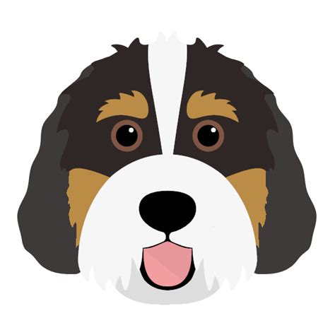 Bernedoodle Svgdoodle Svgsheepadoodle Svg Sheepadoodle Clip Artpng