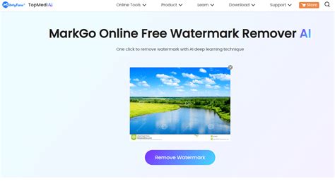 Top 6 Best Ai Watermark Removers To Remove Image Watermarks