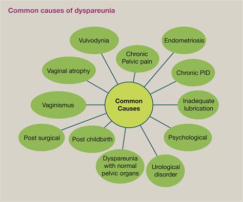 Painful Sex Dyspareunia A Difficult Symptom In Gynecological