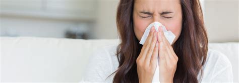 spot the difference between hay fever and a cold natural hay fever treatment health and wellness