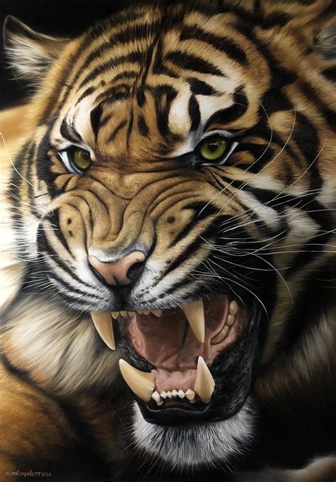 Quadro Tigre Pintura A óleo Elton Brunetti Art
