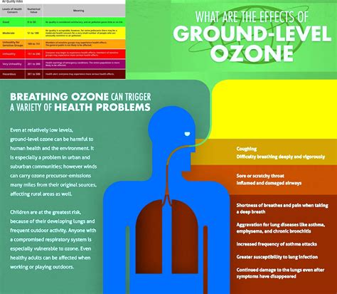 Long Term Exposure To Ambient Ozone Appears To Accelerate