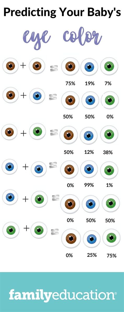 Will My Baby Have Blue Eyes A Genetic Explanation Eye Color Chart