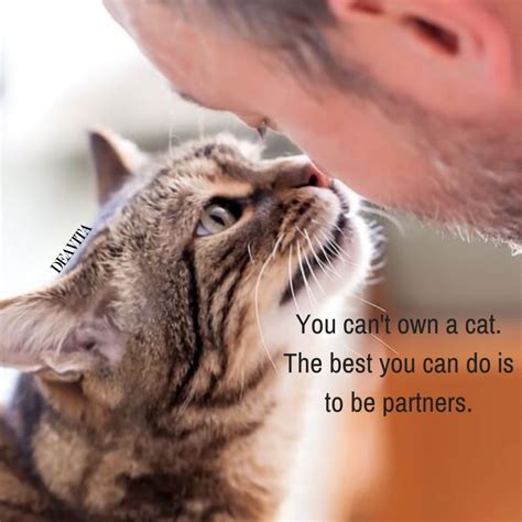 The best selection of royalty free cat quotes vector art, graphics and stock illustrations. cats and people friendship fun quotes about pets #funny # ...