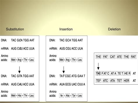 Ppt Topic Genetic Changes Powerpoint Presentation Free Download