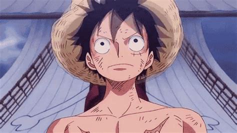 Anime Pfp Luffy Animated About In Monkey D Luffy By Naho My