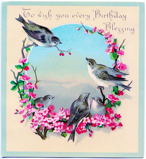 15 Happy Birthday Bird Images The Graphics Fairy
