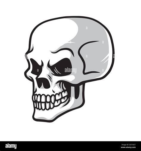 Skull Vector Cartoon Drawing Icon Illustration Clipart Stock Vector