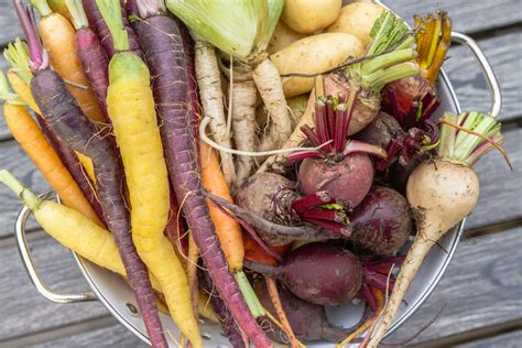 Celebrate Your Roots — Cook With Root Vegetables The Zero Waste