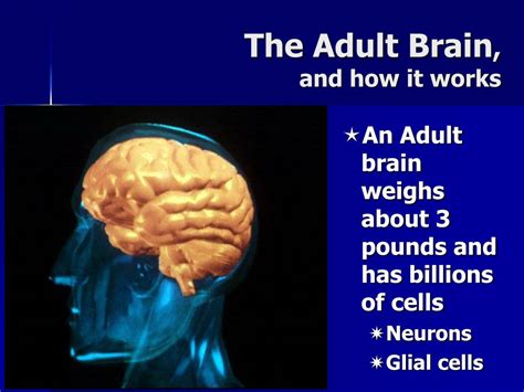 Ppt Addiction Is A Brain Disease Powerpoint Presentation Free