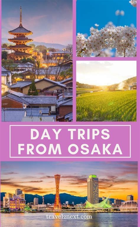 3 Easy Day Trips From Osaka Day Trips Japan Travel Tips Travel