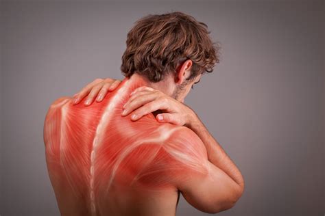 Muscle Pain What Causes Them And How To Prevent Them