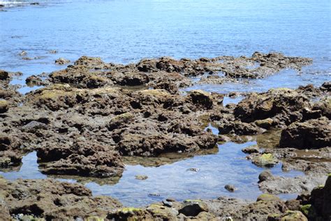 Gratis Afbeeldingen Zee Kust Rotsen Plassen Kalmte Water Kust