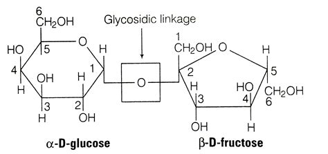 In Disaccharides If The Reducing Groups Of Monosaccharides Ie