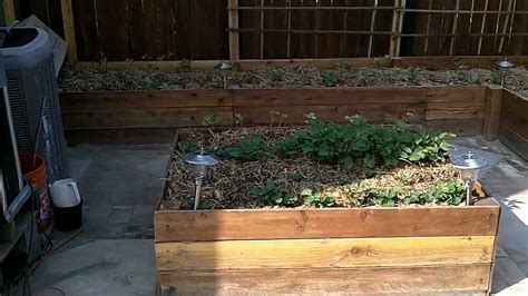 What grows well in raised beds? Growing potatoes in a raised garden bed - YouTube