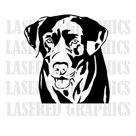 Labrador Svg Files For Cricut Dog Clipart Yellow Lab Breed Etsy