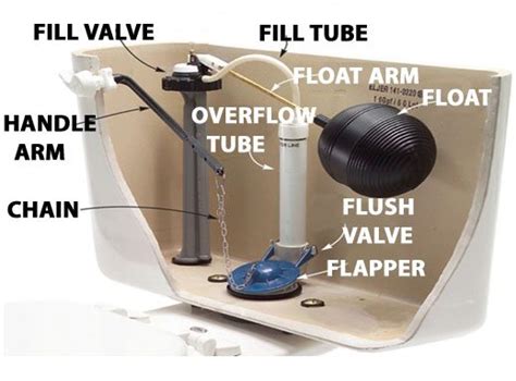 Toilet Parts And Toilet Diagram Diy Repair Guide ⋆ Best Home Gear