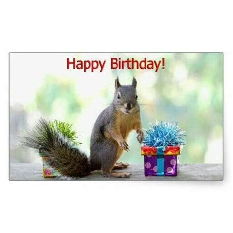 Pin By T On Happy Birthday Happy Birthday Squirrel Happy Birthday