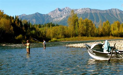 Elk River Fernie British Columbia Mouches