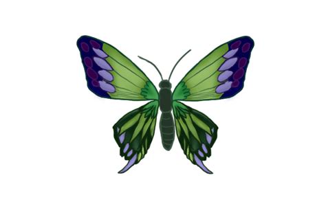 Beautiful Butterfly S