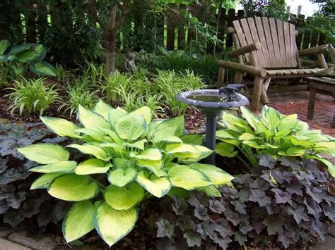 Your Favorite 3 Companion Plants Hosta Forum Gardenweb Shade