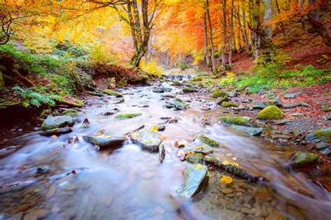 Autumn Natural Landscape River Waterfall In Colorful Autumn Forest