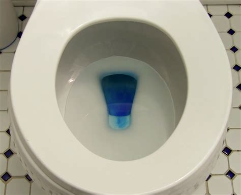 Toilet Leak Detection Dep