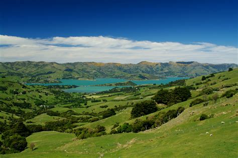 Akaroa New Zealand Tourist Destinations