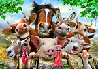 Farm Animals Wallpaper 58+ images | Best Wallpaper for Home