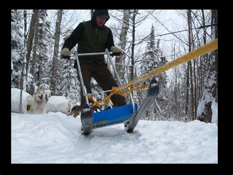 I only had a few days but i finished just in time! Homemade Dogsled | Snow and Dog