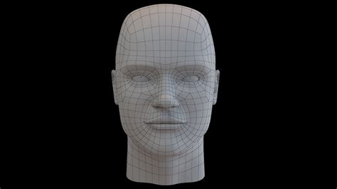 Human Head 3d Model Cgtrader