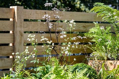 11 Of The Best Garden Fence Ideas Bbc Gardeners World Magazine
