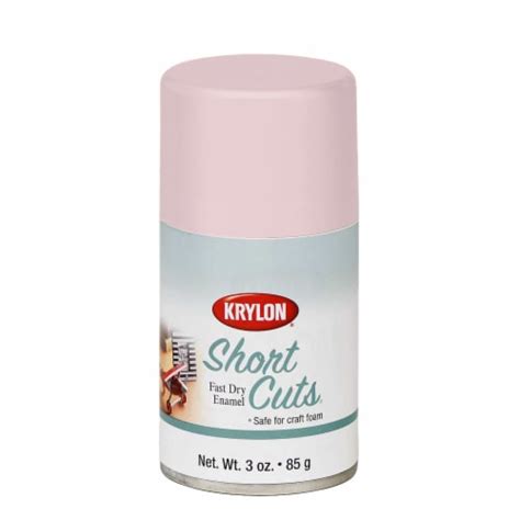 Krylon Short Cuts Fast Dry Enamel Spray Paint Satin Rose Petal 3 Oz