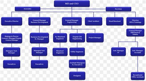 Organizational Chart Business Development Organizational Structure Png