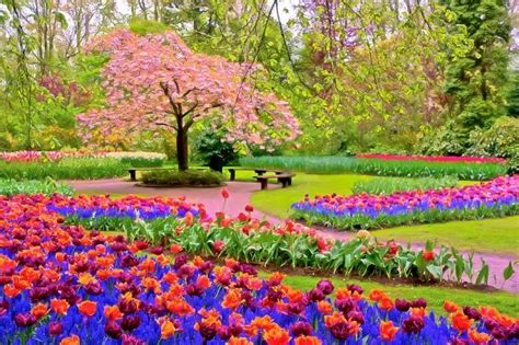 35 Beautiful Spring Pictures And Wallpapers