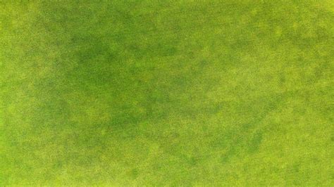 Grass Aerial View Stock Photos Pictures And Royalty Free Images Istock