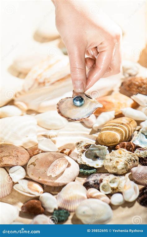 Hand Picking Up Shell With Black Pearl From Sea Stock Photo Image