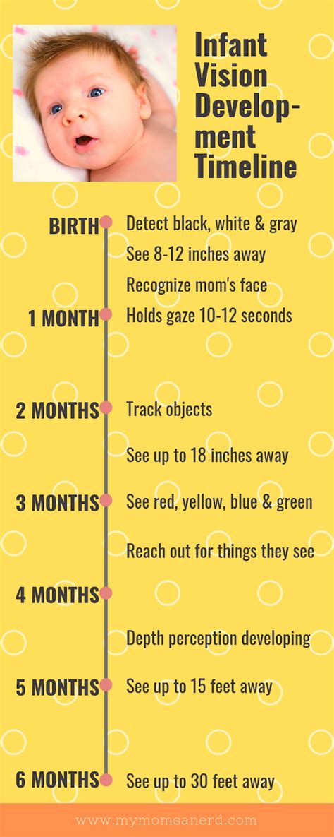 Infant Visual Development A Timeline Infographic • My Moms A Nerd