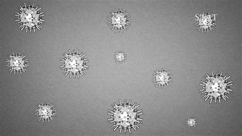 How Long Does Coronavirus Live On Skin Cronavs