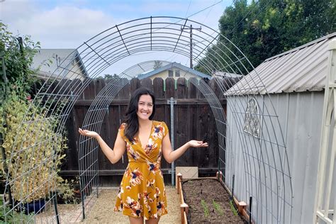 Diy Garden Arch How To Build A Cattle Panel Trellis Freckled
