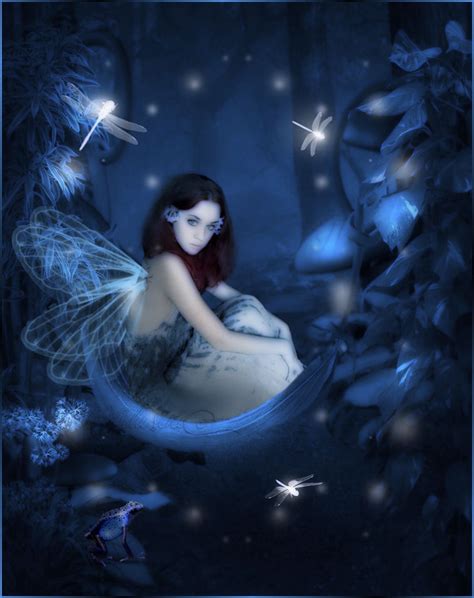 Fairy Night Fairy Realm Pinterest