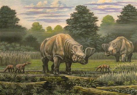 Cenozoic Mammals After Their Kinds • New Creation Blog