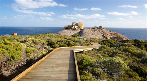 Travel Kangaroo Island Best Of Kangaroo Island Visit South Australia