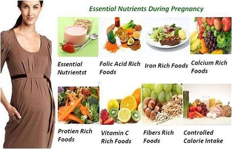 24 Healthy Diet For Pregnant Women For The Long Pregnancy