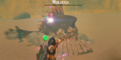 Zelda Tears Of The Kingdom Wanted Molduga Location Walkthrough