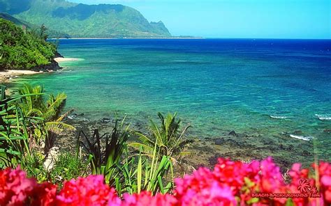 1080p Descarga Gratis Playa Hawaiana Hawaiana Playa Montañas