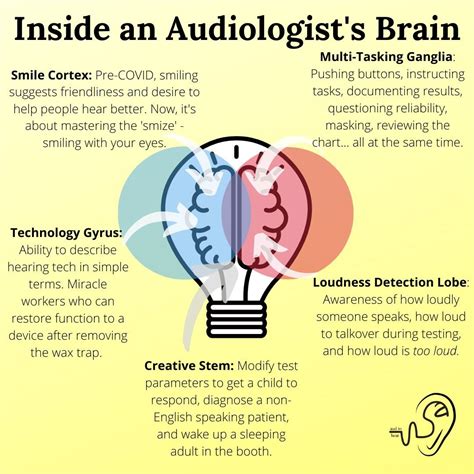 Inside An Audiologists Brain Audiologist Audiology Student Audiology