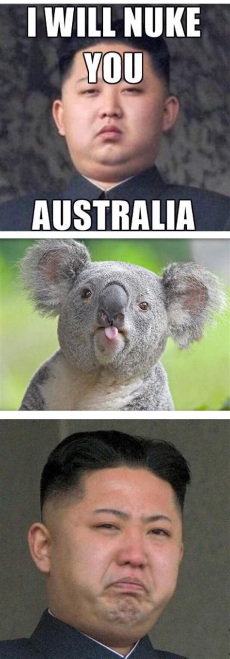 meanwhile in australia i hope i am making y all laugh australia funny australian memes