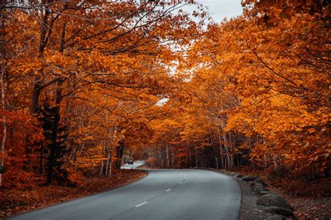 Your Guide To A Stunning Fall Foliage Road Trip — Maine 2022 In 2022